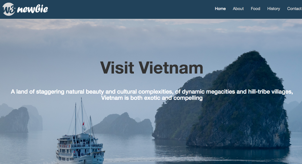 Screenshot of vietnam Profile